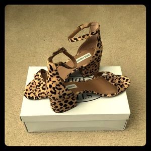 Steve Madden Irenee Leopard Calf Hair
